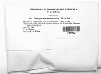 Image Associated With the Occurence